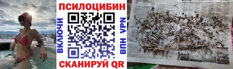 Купить где Северо-Курильск Псилоцибиновые грибы Magic Shrooms